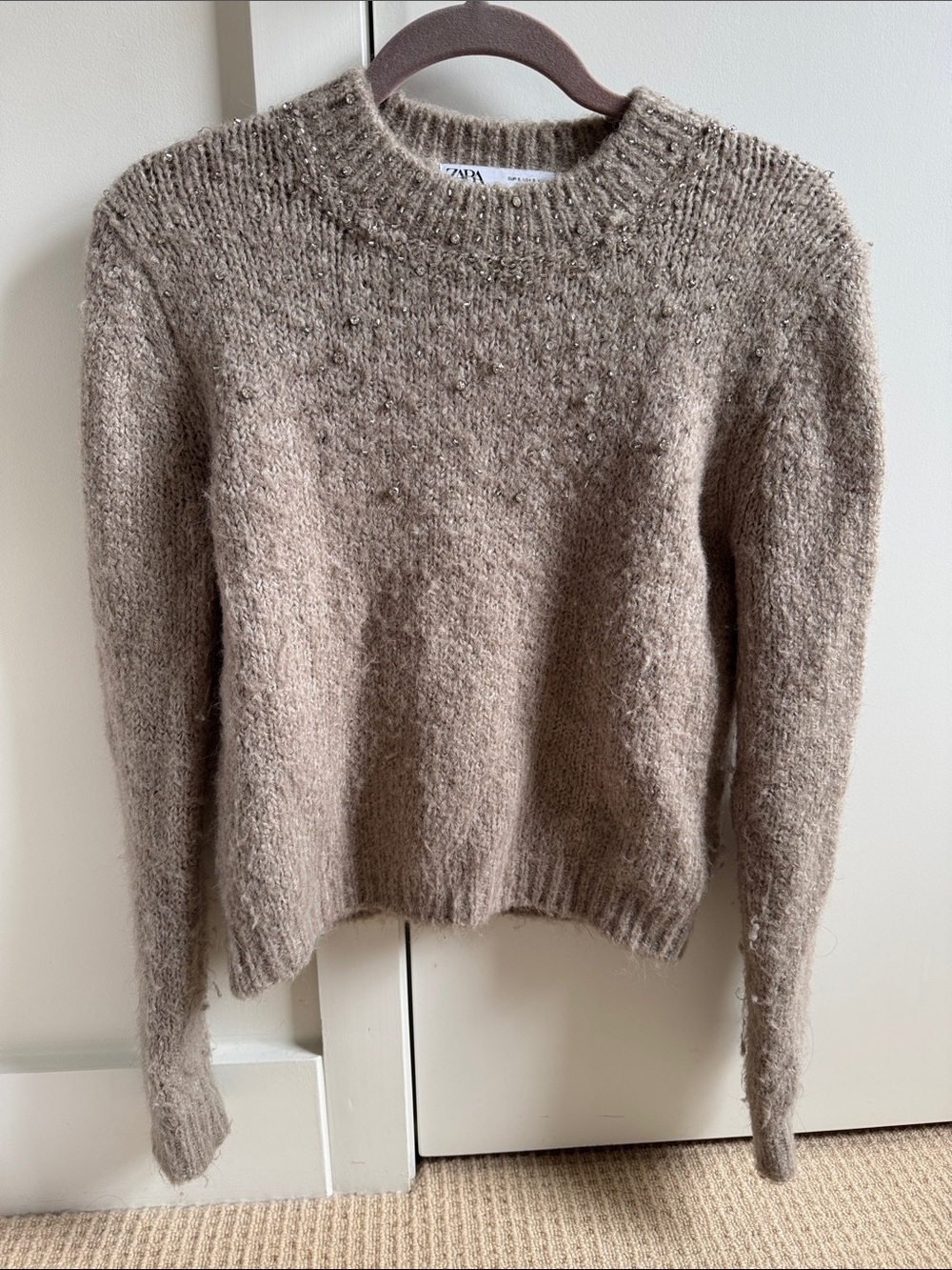 Zara Fuzzy Jeweled Crewneck Sweater in Taupe